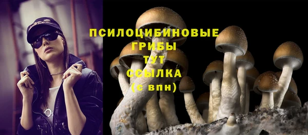 индика Кострома