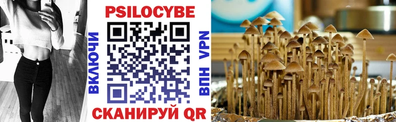 где можно купить наркотик Магнитогорск Галлюциногенные грибы MAGIC MUSHROOMS